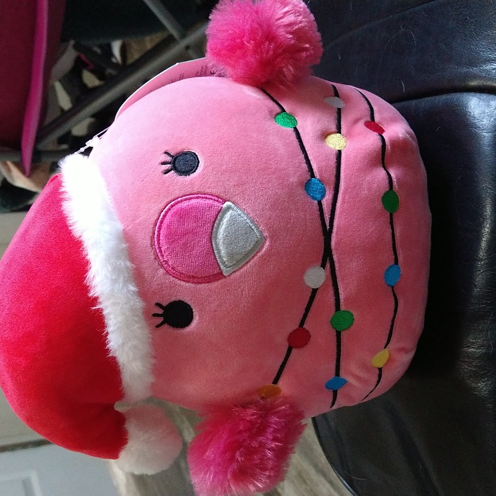 Squishmallow franny